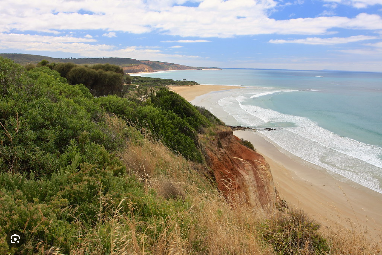 anglesea-great-ocean-road a close up of a hillside next to a body of water with Bells Beach, Victoria in the background